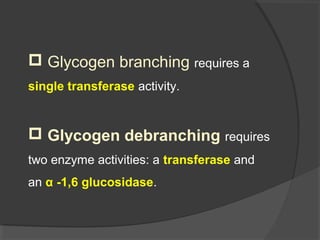  Glycogen branching requires a
single transferase activity.
 Glycogen debranching requires
two enzyme activities: a transferase and
an α -1,6 glucosidase.
 