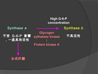 Synthase a
不受 G-6-P 影響
，一直具有活性
Synthase b
不具活性
Glycogen
sythatase kinase
/
Protein kinase A
High G-6-P
concentration
合成肝醣
 