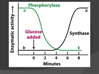 Wk11 glycogen metabolism