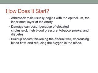 How Does It Start?
• Atherosclerosis usually begins with the epithelium, the

inner most layer of the artery.
• Damage can...