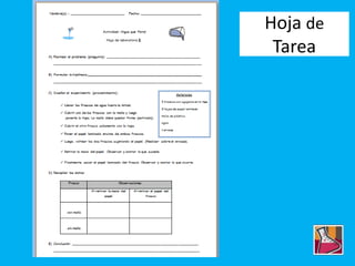 Hoja de
Tarea
 