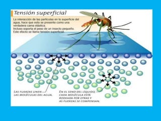 Aplicación Método cientiífico