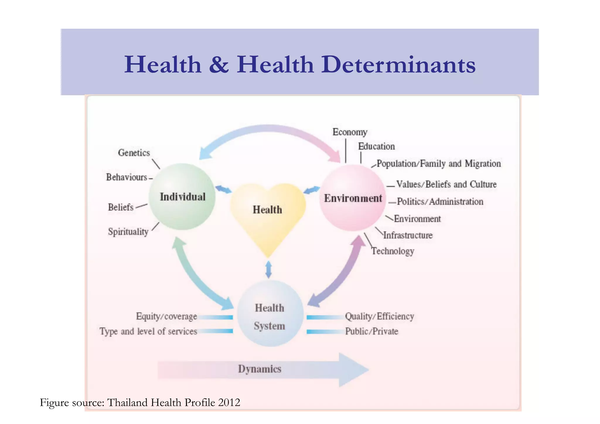 Health & Health Determinants 
Figure source: Thailand Health Profile 2012 
 