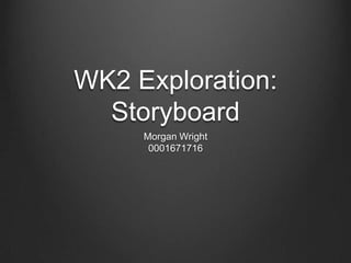 WK2 Exploration:
Storyboard
Morgan Wright
0001671716

 