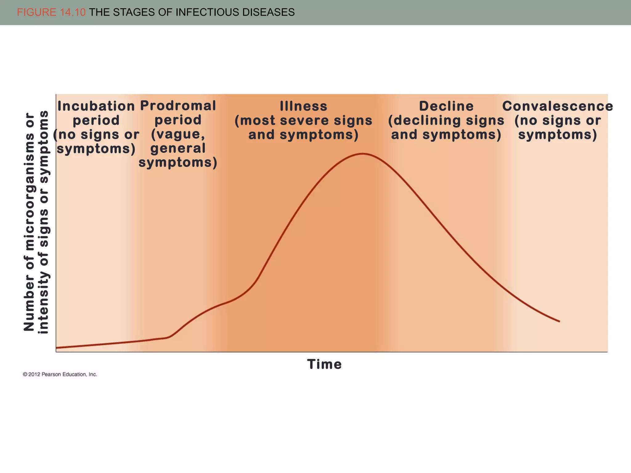 Number of microorganisms or
intensity of signs or symptoms

FIGURE 14.10 THE STAGES OF INFECTIOUS DISEASES

Incubation Prodromal
period
period
(no signs or (vague,
symptoms) general
symptoms)

Illness
(most severe signs
and symptoms)

Time

Decline
Convalescence
(declining signs (no signs or
and symptoms) symptoms)

 