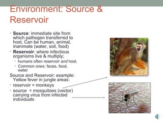Environment: Source &
Reservoir
• Source: immediate site from

which pathogen transferred to
host. Can be human, animal,
inanimate (water, soil, food)
• Reservoir: where infectious
organisms live & multiply;
• humans often reservoir and host.
• Common ones: feces, food,

water

Source and Reservoir: example:
Yellow fever in jungle areas:
• reservoir = monkeys
• source = mosquitoes (vector)
carrying virus from infected
individuals

 