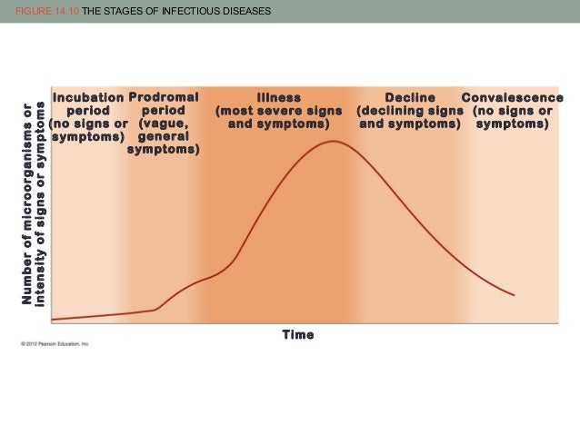 What is the prodromal stage of an infectious disease?