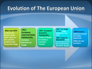 Evolution of The European UnionMIB, BBA 201018