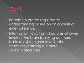  Bottom up processing Creates
  understanding based on an analysis of
  external stimuli.
 Information flows from structures at lower
  levels of the brain (carrying out more
  basic roles) to higher-level brain
  structures (carrying out more
  sophisticated roles).I
 