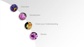 Overview
Introduction
Check your Understanding
Review
 