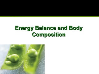 Energy Balance and BodyEnergy Balance and Body
CompositionComposition
 