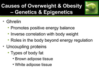 Causes of Overweight & ObesityCauses of Overweight & Obesity
– Genetics & Epigenetics– Genetics & Epigenetics
• Ghrelin
• Promotes positive energy balance
• Inverse correlation with body weight
• Roles in the body beyond energy regulation
• Uncoupling proteins
• Types of body fat
• Brown adipose tissue
• White adipose tissue
 