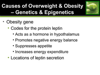 Causes of Overweight & ObesityCauses of Overweight & Obesity
– Genetics & Epigenetics– Genetics & Epigenetics
• Obesity gene
• Codes for the protein leptin
• Acts as a hormone in hypothalamus
• Promotes negative energy balance
• Suppresses appetite
• Increases energy expenditure
• Locations of leptin secretion
 