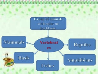 Wk5 Characteristics of Vertebrate 