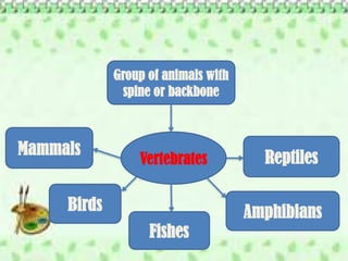 Wk5 Characteristics of Vertebrate Animals.pptx