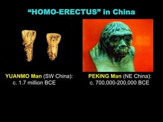 “HOMO-ERECTUS” in China
YUANMO Man (SW China): PEKING Man (NE China):
c. 1.7 million BCE c. 700,000-200,000 BCE
 