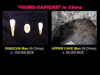 “HOMO-SAPIENS” in China
DINGCUN Man (N China): UPPER CAVE Man (N China):
c. 100,000 BCE c. 50,000 BCE
 