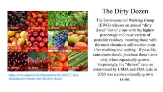 Usda Raisin Slides: Plant Agriculture and GMOs | PPTX