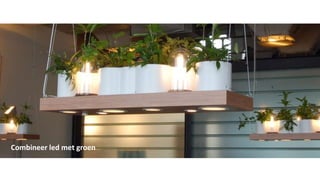 Combineer led met groen
 