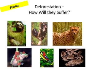 Wk9 - Explain the need to protect and conserve tropical rainforests.pptx