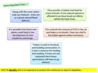 Wk9 - Explain the need to protect and conserve tropical rainforests.pptx