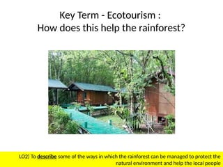 Wk9 - Explain the need to protect and conserve tropical rainforests.pptx