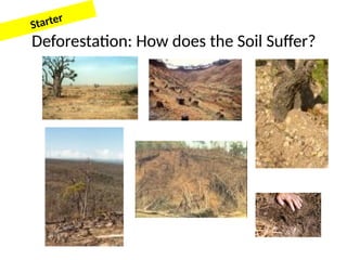 Wk9 - Explain the need to protect and conserve tropical rainforests.pptx