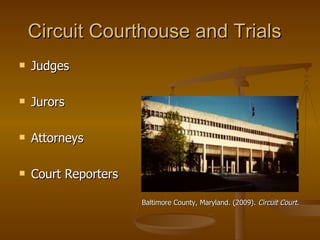The Criminal Justice System | PPT