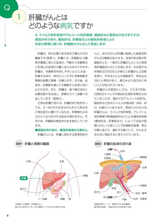 4
1 肝臓がんとは
どのような病気ですか
Q
A．ウイルス性肝疾患やアルコール性肝障害、脂肪肝など原因はさまざまですが、
原因が何であれ、慢性肝炎、肝硬変などの慢性肝疾患により
炎症が長期に続く中、肝細胞ががん化して発症します。
んと、ほかのがんが肝臓に転移した転移性肝
がんの2種類があります。前者の約9割が肝
細胞がんで、一般的に肝臓がんというと原発
性肝細胞がんのことを指します。わが国では、
年間約3万5000人が新たに肝臓がんと診断
を受け、そのほとんどは高齢者で、男女比は
3対1と男性が多く、東日本より西日本に多
いことが知られています。
　肝臓がんの原因としては、これまでB型、
C型肝炎ウイルスの感染が圧倒的多数を占め
ていましたが、最近ではアルコール性肝炎、
脂肪肝など肝炎ウイルス非感染例（非B・非
C）も増えつつあります。原因にかかわらず、
肝臓がんは、ウイルス性肝疾患、アルコール
性肝障害や肥満脂肪肝などによる慢性肝疾患
(慢性肝炎、肝硬変など）によって炎症が長
期にわたって続くことで肝細胞の破壊・再生
が繰り返され、遺伝子が傷ついて、がん化す
るために発症すると考えられています。
　肝臓は、体の右側にある体内で最も大きな
臓器です(図表1)。肝臓には、肝動脈から酸
素を豊富に含んだ血液が、門脈から栄養素な
どを含んだ血液が大量に送り込まれてきます。
肝臓は、栄養素を利用しやすいように合成・
貯蔵するほか、体内に入ってきた有害物質を
無害な物質に解毒・代謝します。その後、血
液は、肝静脈を通じて大静脈から全身に送り
出されます。また、肝臓は、食べ物の消化に
必要な胆汁を合成し、胆管から十二指腸へ分
泌しています（図表2）。
　正常な肝臓であれば、肝臓の約7割を失っ
ても、3～4か月でほぼ元の大きさに戻るほ
ど再生能力に優れているため、肝障害がよほ
どひどくならなければ症状が現れません。そ
のため、肝臓病は無症状のまま進行していき
ます。
●原因は何であれ、慢性肝疾患から発がん
　肝臓がんには、肝臓に発生する原発性肝が
「各種がんの解説　肝細胞がん」
国立がん研究センターがん情報サービスなどを参考に作成
図表1 図表2肝臓と周囲の臓器 肝臓の血液の流れ道
脾臓
血液／栄養素
「徹底対策シリーズ　図解でわかる肝臓病」
渡辺純夫監修　主婦の友社刊を参考に作成
肝臓
右葉 左葉
膵臓 胃十二指腸
胆のう
心臓へ
血液
横隔膜
大静脈
肝静脈
右葉
左葉
肝動脈
胆のう
胆管
十二指腸へ
胆汁
門脈
血液／酸素
 