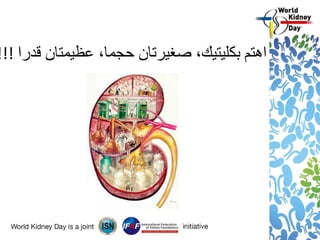 !!! ‫اهتم‬‫قدرا‬ ‫عظيمتان‬ ،‫حجما‬ ‫صغيرتان‬ ،‫بكليتيك‬
 