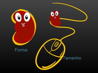 Tamanho
Forma
 
