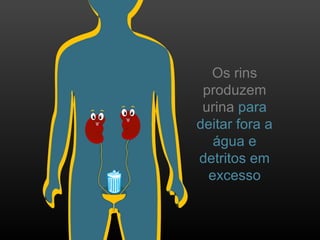 Os rins
produzem
urina para
deitar fora a
água e
detritos em
excesso
 