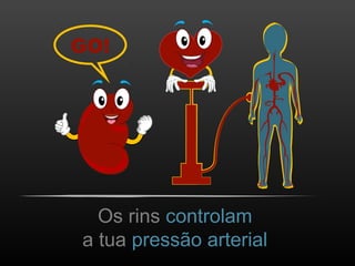GO!
Os rins controlam
a tua pressão arterial
 