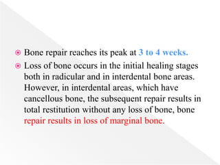  Bone repair reaches its peak at 3 to 4 weeks.
 Loss of bone occurs in the initial healing stages
both in radicular and in interdental bone areas.
However, in interdental areas, which have
cancellous bone, the subsequent repair results in
total restitution without any loss of bone, bone
repair results in loss of marginal bone.
 