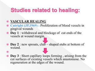  VASCULAR HEALING
 Cutright (JP,1969) : Proliferation of blood vessels in
gingival wounds
 Day 1 : withdrawal and blockage of cut ends of the
vessels at wound margin.
 Day 2 : new sprouts, club – shaped stubs at bottom of
wound.

 Day 3 : Short capillary loops forming , arising from the
cut surfaces of existing vessels which anastomose. No
regeneration at the edges of the wound.
 