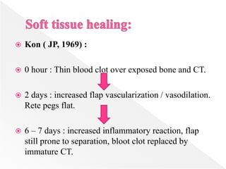  Kon ( JP, 1969) :
 0 hour : Thin blood clot over exposed bone and CT.
 2 days : increased flap vascularization / vasodilation.
Rete pegs flat.
 6 – 7 days : increased inflammatory reaction, flap
still prone to separation, bloot clot replaced by
immature CT.
 