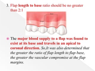 3. Flap length to base ratio should be no greater
than 2:1
 The major blood supply to a flap was found to
exist at its base and travels in an apical to
coronal direction. So,It was also determined that
the greater the ratio of flap length to flap base,
the greater the vascular compromise at the flap
margins.
 