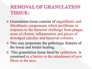 Granulation tissue consists of angioblastic and
fibroblastic components which proliferate in
response to the bacterial challenge from plaque,
areas of chronic inflammation and pieces of
dislodged calculus and bacterial colonies.
 This may perpetuate the pathologic features of
the tissue and hinder healing.
 This granulation tissue lined by epithelium is
construed as a barrier to the attachment of new
fibers in the area.
 