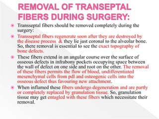  Transseptal fibers should be removed completely during the
surgery:
 Transseptal fibers regenerate soon after they are destroyed by
the disease process & they lie just coronal to the alveolar bone.
So, there removal is essential to see the exact topography of
bone defects.
 These fibers extend in an angular course over the surface of
osseous defects in infrabony pockets occupying space between
the wall of defect on one side and root on the other. The removal
of these fibers permits the flow of blood, undifferentiated
mesenchymal cells from pdl and osteogenic cells into the
osseous defect thus favouring new attachment.
 When inflamed these fibers undergo degeneration and are partly
or completely replaced by granulation tissue. So, granulation
tissue may get entagled with these fibers which necessitate their
removal.
 