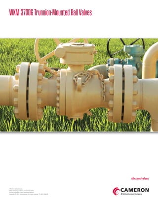 WKM370D6Trunnion-MountedBallValves
­*Mark of Schlumberger.
Other company, product, and service names
are the properties of their respective owners.
Copyright © 2021 Schlumberger. All rights reserved. 21-MPS-948039
slb.com/valves
 