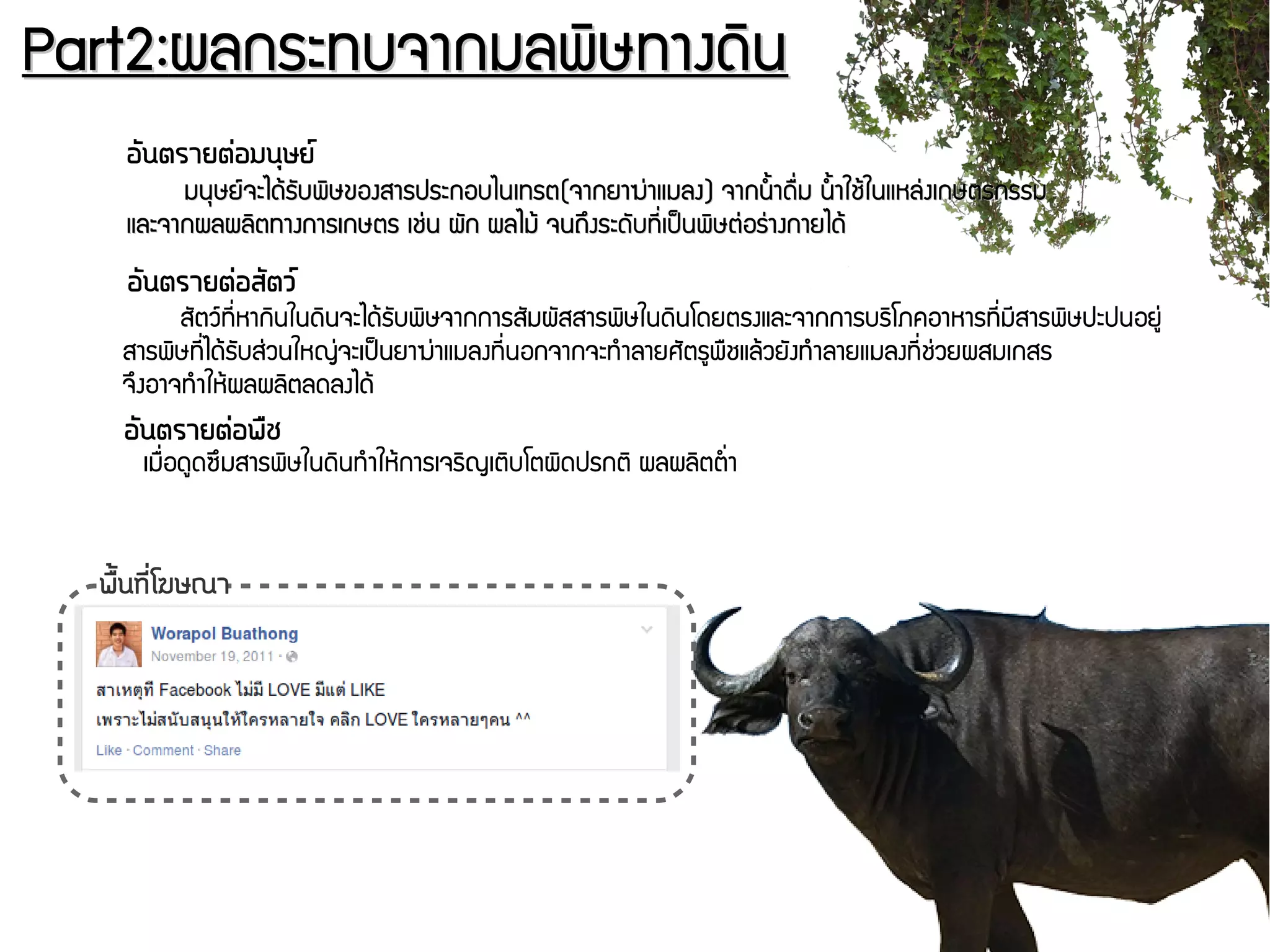 Part2Part2::ผลกระทบจากมลพดิษทางดดินผลกระทบจากมลพดิษทางดดิน
อวันตรายตร่อมนถุษยน์
มนธษยย์จะไดร้รพับพดิษของสารประกอบไนเทรตมนธษยย์จะไดร้รพับพดิษของสารประกอบไนเทรต((จากยาฆนุ่าแมลงจากยาฆนุ่าแมลง)) จากนนนาดรรื่ม นนนาใชร้ในแหลนุ่งเกษตรกรรมจากนนนาดรรื่ม นนนาใชร้ในแหลนุ่งเกษตรกรรม
และจากผลผลดิตทางการเกษตร เชนุ่น ผพัก ผลไมร้ จนถยึงระดพับทชีรื่เปป็นพดิษตนุ่อรนุ่างกายไดร้และจากผลผลดิตทางการเกษตร เชนุ่น ผพัก ผลไมร้ จนถยึงระดพับทชีรื่เปป็นพดิษตนุ่อรนุ่างกายไดร้
อวันตรายตร่อสวัตวน์
สพัตวย์ทชีรื่หากดินในดดินจะไดร้รพับพดิษจากการสพัมผพัสสารพดิษในดดินโดยตรงและจากการบรดิโภคอาหารทชีรื่มชีสารพดิษปะปนอยยนุ่
สารพดิษทชีรื่ไดร้รพับสนุ่วนใหญนุ่จะเปป็นยาฆนุ่าแมลงทชีรื่นอกจากจะทกำลายศพัตรยพรชแลร้วยพังทกำลายแมลงทชีรื่ชนุ่วยผสมเกสร
จยึงอาจทกำใหร้ผลผลดิตลดลงไดร้
อวันตรายตร่อพรช
เมรรื่อดยดซยึมสารพดิษในดดินทกำใหร้การเจรดิญเตดิบโตผดิดปรกตดิ ผลผลดิตตนรื่า
พรตั้นทนีรื่โฆษณา
 