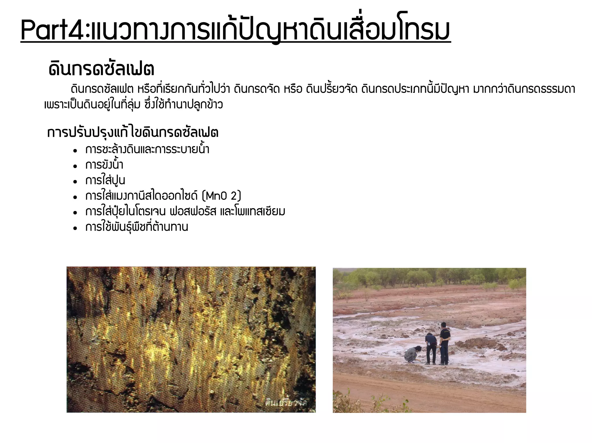 Part4:แนวทางการแกร้ปปัญหาดดินเสรรื่อมโทรม
ดดินกรดซวัลเฟต
ดดินกรดซพัลเฟต หรรอทชีรื่เรชียกกพันทพัรื่วไปวนุ่า ดดินกรดจพัด หรรอ ดดินปรชีนยวจพัด ดดินกรดประเภทนชีนมชีปปัญหา มากกวนุ่าดดินกรดธรรมดา
เพราะเปป็นดดินอยยนุ่ในทชีรื่ลธนุ่ม ซยึรื่งใชร้ทกำนาปลยกขร้าว
การปรวับปรถุงแกต้ไขดดินกรดซวัลเฟต
● การชะลร้างดดินและการระบายนนนา
● การขพังนนนา
● การใสนุ่ปยน
● การใสนุ่แมงกานชีสไดออกไซดย์ (MnO 2)
● การใสนุ่ปธปุ๋ยไนโตรเจน ฟอสฟอรพัส และโพแทสเซชียม
● การใชร้พพันธธย์พรชทชีรื่ตร้านทาน
 