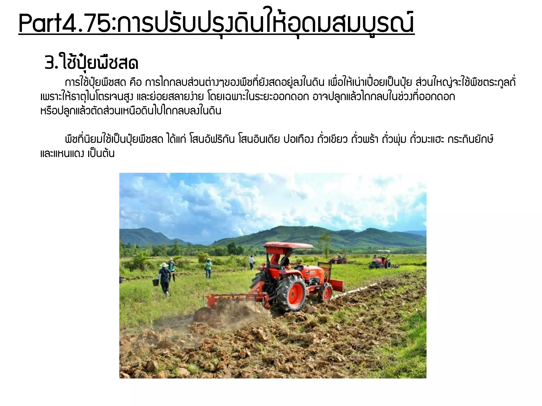 Part4.75:การปรพับปรธงดดินใหร้อธดมสมบยรณย์
3.ใชต้ปถุปุ๋ยพรชสด
การใชร้ปธปุ๋ยพรชสด ครอ การไถกลบสนุ่วนตนุ่างๆของพรชทชีรื่ยพังสดอยยนุ่ลงในดดิน เพรรื่อใหร้เนนุ่าเปปปื่อยเปป็นปธปุ๋ย สนุ่วนใหญนุ่จะใชร้พรชตระกยลถพัรื่
เพราะใหร้ธาตธไนโตรเจนสยง และยนุ่อยสลายงนุ่าย โดยเฉพาะในระยะออกดอก อาจปลยกแลร้วไถกลบในชนุ่วงทชีรื่ออกดอก
หรรอปลยกแลร้วตพัดสนุ่วนเหนรอดดินไปไถกลบลงในดดิน
พรชทชีรื่นดิยมใชร้เปป็นปธปุ๋ยพรชสด ไดร้แกนุ่ โสนอพัฟรดิกพัน โสนอดินเดชีย ปอเทรอง ถพัรื่วเขชียว ถพัรื่วพรร้า ถพัรื่วพธนุ่ม ถพัรื่วมะแฮะ กระถดินยพักษย์
และแหนแดง เปป็นตร้น
 