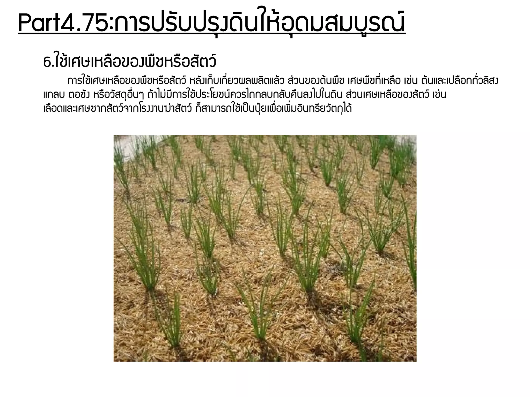 Part4.75:การปรพับปรธงดดินใหร้อธดมสมบยรณย์
6.ใชร้เศษเหลรอของพรชหรรอสพัตวย์
การใชร้เศษเหลรอของพรชหรรอสพัตวย์ หลพังเกก็บเกชีรื่ยวผลผลดิตแลร้ว สนุ่วนของตร้นพรช เศษพรชทชีรื่เหลรอ เชนุ่น ตร้นและเปลรอกถพัรื่วลดิสง
แกลบ ตอซพัง หรรอวพัสดธอรรื่นๆ ถร้าไมนุ่มชีการใชร้ประโยชนย์ควรไถกลบกลพับครนลงไปในดดิน สนุ่วนเศษเหลรอของสพัตวย์ เชนุ่น
เลรอดและเศษซากสพัตวย์จากโรงงานฆนุ่าสพัตวย์ กก็สามารถใชร้เปป็นปธปุ๋ยเพรรื่อเพดิรื่มอดินทรชียวพัตถธไดร้
 