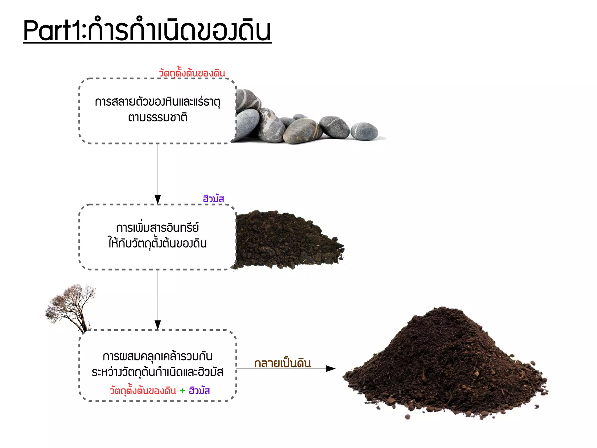 Part1:กกำรกกำเนดิดของดดิน
การสลายตพัวของหดินและแรนุ่ธาตธ
ตามธรรมชาตดิ
การเพดิรื่มสารอดินทรชียย์
ใหร้กพับวพัตถธตพันงตร้นของดดิน
การผสมคลธกเคลร้ารวมกพัน
ระหวนุ่างวพัตถธตร้นกกำเนดิดและฮดิวมพัส
ววัตถถุตวัตั้งตต้นของดดิน
ฮดิวมวัส
ววัตถถุตวัตั้งตต้นของดดิน + ฮดิวมวัส
กลายเปป็นดดิน
 