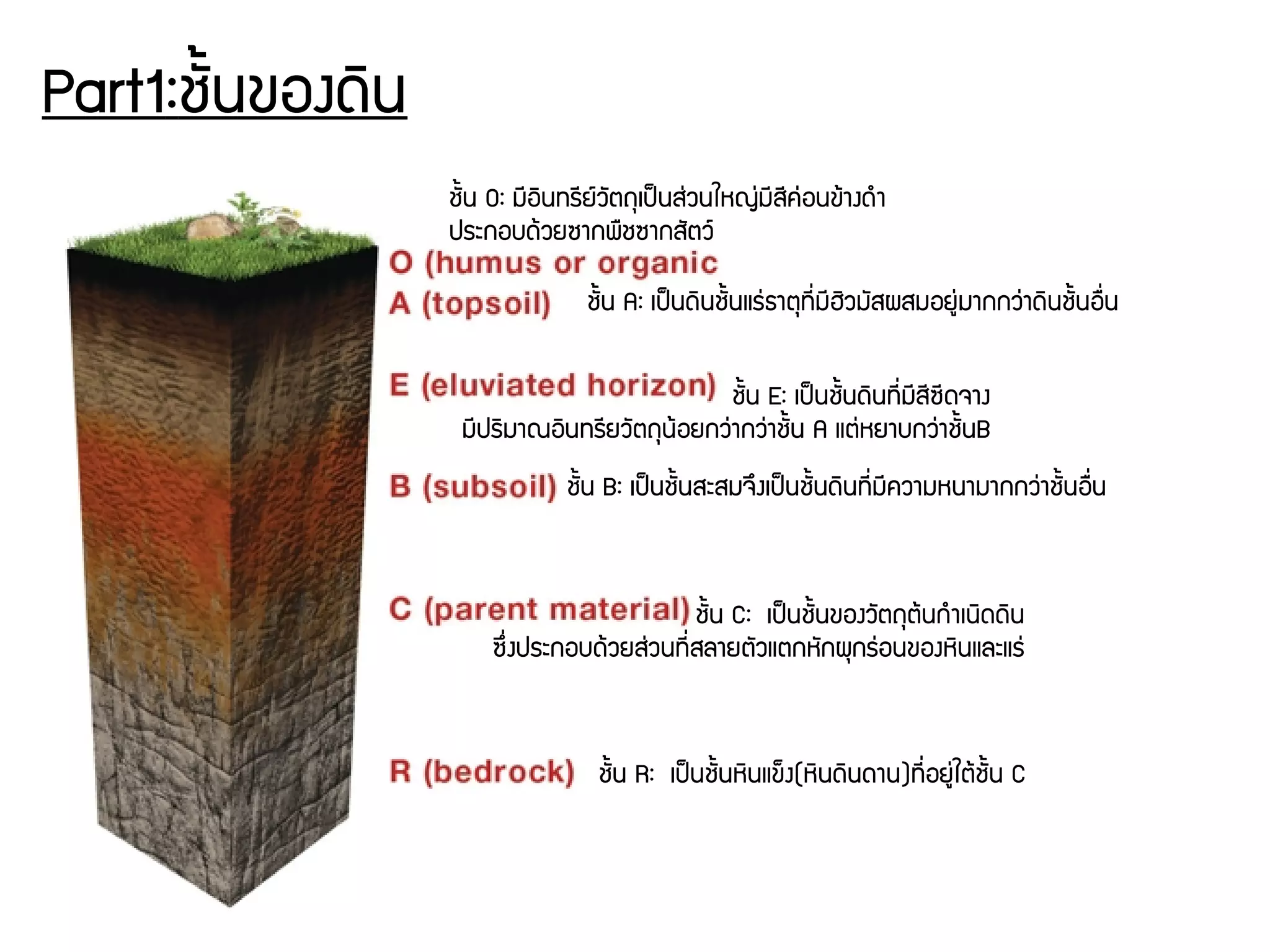 Part1:ชพันนของดดิน
ชพันน O: มชีอดินทรชียย์วพัตถธเปป็นสนุ่วนใหญนุ่มชีสชีคนุ่อนขร้างดกำ
ประกอบดร้วยซากพรชซากสพัตวย์
ชพันน A: เปป็นดดินชพันนแรนุ่ธาตธทชีรื่มชีฮดิวมพัสผสมอยยนุ่มากกวนุ่าดดินชพันนอรรื่น
ชพันน E: เปป็นชพันนดดินทชีรื่มชีสชีซชีดจาง
มชีปรดิมาณอดินทรชียวพัตถธนร้อยกวนุ่ากวนุ่าชพันน A แตนุ่หยาบกวนุ่าชพันนB
ชพันน B: เปป็นชพันนสะสมจยึงเปป็นชพันนดดินทชีรื่มชีความหนามากกวนุ่าชพันนอรรื่น
ชพันน C: เปป็นชพันนของวพัตถธตร้นกกำเนดิดดดิน
ซยึรื่งประกอบดร้วยสนุ่วนทชีรื่สลายตพัวแตกหพักผธกรนุ่อนของหดินและแรนุ่
ชพันน R: เปป็นชพันนหดินแขก็ง(หดินดดินดาน)ทชีรื่อยยนุ่ใตร้ชพันพันน C
 