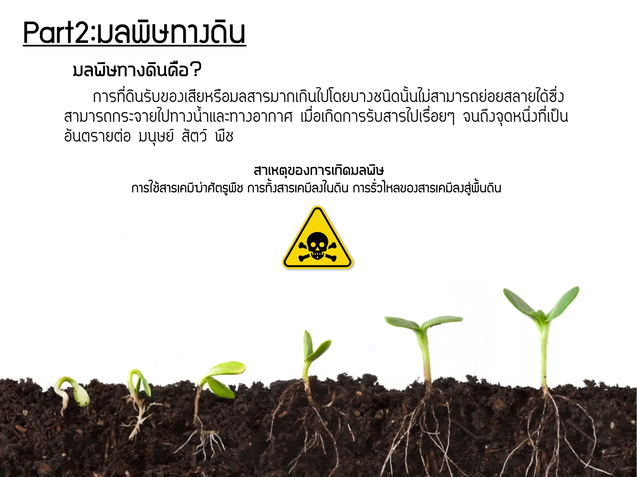 Part2:มลพดิษทางดดิน
มลพดิษทางดดินครอ?
การททสื่ดกินรจับของเสทยหรสอมลสารมากเกกินไปโดยบางชนกิดนจัขึ้นไมส่สามารถยส่อยสลายไดก้ซขสื่ง
สามารถกระจายไปทางนนขึ้าและทางอากาศ เมสสื่อเกกิดการรจับสารไปเรสสื่อยๆ จนถขงจคุดหนขสื่งททสื่เปป็น
อจันตรายตส่อ มนคุษยน สจัตวน พสช
สาเหตถุของการเกดิดมลพดิษ
การใชร้สารเคมชีฆนุ่าศพัตรยพรช การทดินงสารเคมชีลงในดดิน การรพัรื่วไหลของสารเคมชีลงสยนุ่พรนนดดิน
 