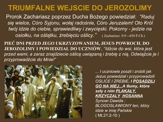 TRIUMFALNE WEJSCIE DO JEROZOLIMY
Prorok Zachariasz poprzez Ducha Bożego powiedział: “Raduj
się wielce, Córo Syjonu, wołaj radośnie, Córo Jeruzalem! Oto Król
twój idzie do ciebie, sprawiedliwy i zwycięski. Pokorny - jedzie na
osiołku, na oślątku, źrebięciu oślicy.” ( Zachariasz .9:9 --450 P.Ch.)
PIEĆ DNI PRZED JEGO UKRZYZOWANIEM, JESUS POWROCIŁ DO
JEROZOLIMY I POWIEDZIAŁ DO UCZNIÓW, "Idźcie do wsi, która jest
przed wami, a zaraz znajdziecie oślicę uwiązaną i źrebię z nią. Odwiążcie je i
przyprowadźcie do Mnie!”
... I uczniowie poszli i zrobili jak
Jezus powiedział i przyprowadzili
OSLICE I ZREBIE, I POSADZILI
GO NA NIEJ...A tłumy, które
szły z nim PLAKAŁY,
KRZYCZALY HOSANNA
Synowi Dawida :
BLOGOSLAWIONY ten, który
idzie w imię Pańskie
( Mt.21:2-10 )

 