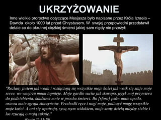 UKRZYŻOWANIE
Inne wielkie proroctwo dotyczące Mesjasza było napisane przez Króla Izraela –
Dawida około 1000 lat przed Chrystusem. W swojej przepowiedni przedstawił
detale co do okrutnej ciężkiej śmierci jakiej sam nigdy nie przeżył:

"Rozlany jestem jak woda i rozłączają się wszystkie moje kości jak wosk się staje moje
serce, we wnętrzu moim topnieje. Moje gardło suche jak skorupa, język mój przywiera
do podniebienia, kładziesz mnie w prochu śmierci. Bo [sfora] psów mnie opada,
osacza mnie zgraja złoczyńców. Przebodli ręce i nogi moje, policzyć mogę wszystkie
moje kości. A oni się wpatrują, sycą mym widokiem, moje szaty dzielą między siebie i
los rzucają o moją suknię."

 
