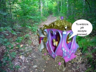 Tu widzicie jak zaczyna pracować jesień. 